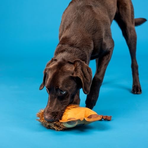 Fringe Studio Durable Plush Dog Toy with Rope, Tough Squeaky Dog Toy, “Lion Through My Teeth,” Petshop Collection (729215)