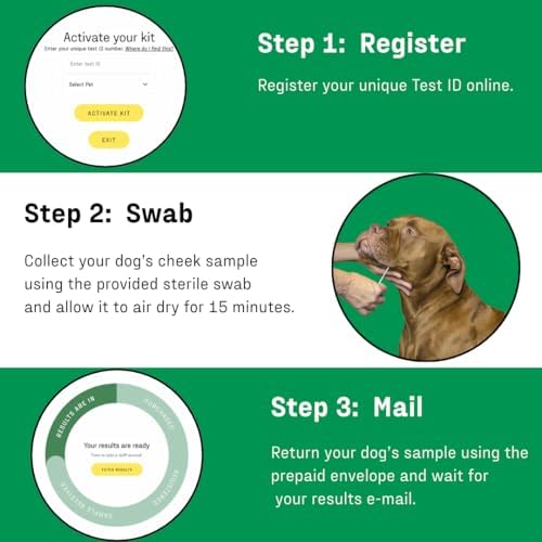 DNA MY DOG - Dog DNA Test Kit | 350+ Breeds Identified | 99%+ Accuracy | Allergy Risk Score | Personality & Behavior Insights | Results in 2-3 Weeks |