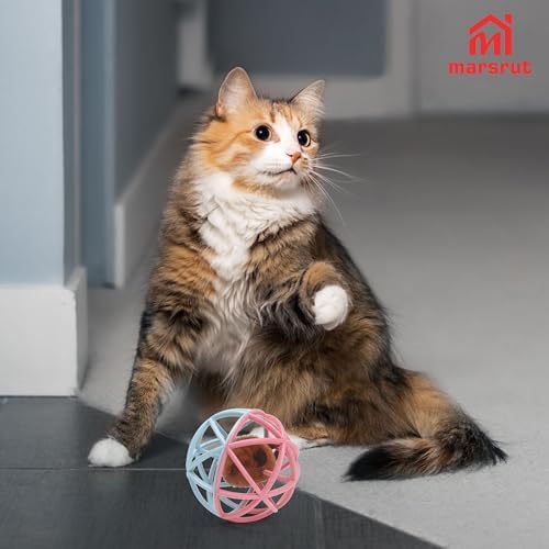 Squeaky Mouse Ball Cat Toy with Simulated Sound, Mouse Ball Cage, Squeky Balls for Cats to Play with Indoor, Plastic Squeak Interactive Funny Toys Best for Playing Chewing Training Chasing (Pink-Blue)