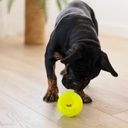 Messy Mutts Stuff n Wobble Ball, 3.9 Inch, Treat Toy, Green