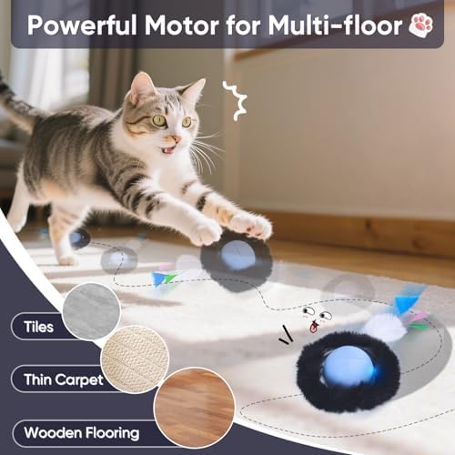 ORSDA Cat Toys for Indoor Cats, Interactive Activated Moving Ballt, Automatic Fast Rolling Ball for Adult Cats, Exercise Kicker Mouse Catching Game