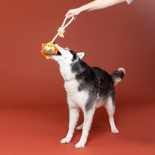 Fringe Studio Plush Dog Toy with Rope, Sun-Day I'm in Love, Pet Shop Collection (314526)