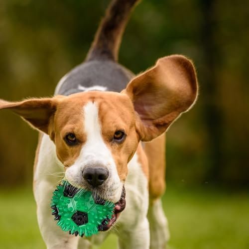 Gemscream 6 Pcs 3.4'' Spiky Squeaker Football Dog Toy Balls for Teething