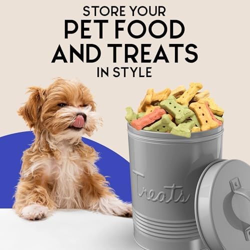 Amici Home Retro Treats Gray Canister, Grey-72, Large/72 oz, White