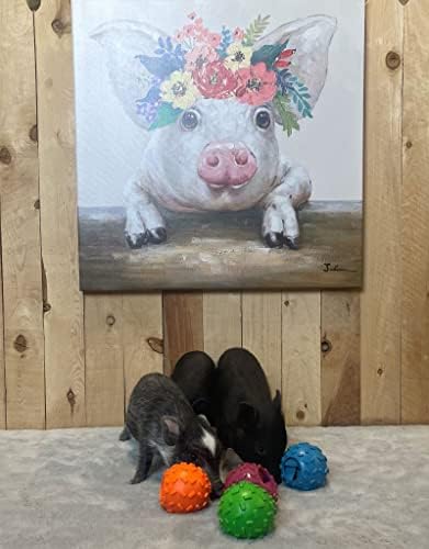 Challenging Treat-Dispensing Ball for Pigs Piglets Dogs Rabbits Cats and Other Small Animals – Mental Stimulation and Playtime Fun