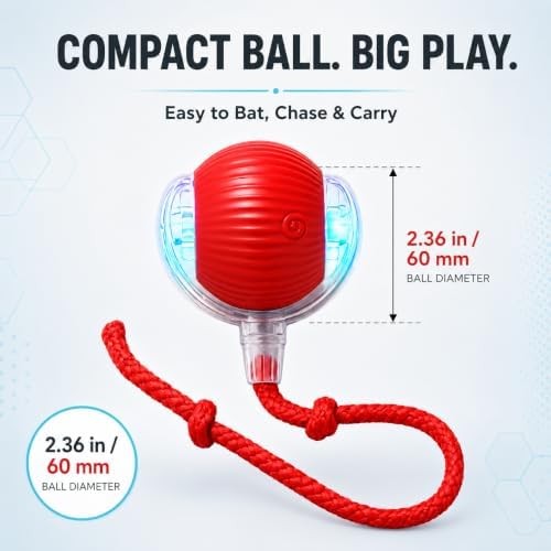Interactive Cat Ball Toy with String, Red, Bouncing Teaser Wand