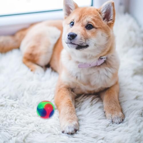 Totority Lighted Dog Ball Toy Glow in the Dark Interactive Pet Toy for Small Dogs and Puppies Elastic Jump Ball for Training Oral Exercise and Active Play