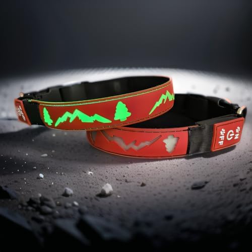 Customlized Name Flashing USB-C led Light up Dog Collar with airtag Holder, Subversive 3D Design Comfortable and Soft Material,Multicolored Lighting (RED, S(7.87-11.8"))