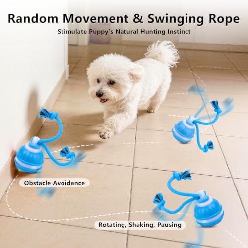 Interactive Dog Toys Ball, 3 Modes & Powerful Motor, Random Movement & Swinging Rope, Bird Chirping Stimulate, USB C Rechargeable for Small Medium Dogs for Boredom, Anxiety Relief