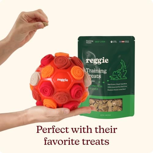 Reggie Snuffle Ball for Dogs | Interactive Treat Dispensing Dog Enrichment Toys | Reduces Boredom, Stress & Hyperactivity | Snuffle Toys for Dogs | Durable & Washable Dog Puzzle Toy I Red