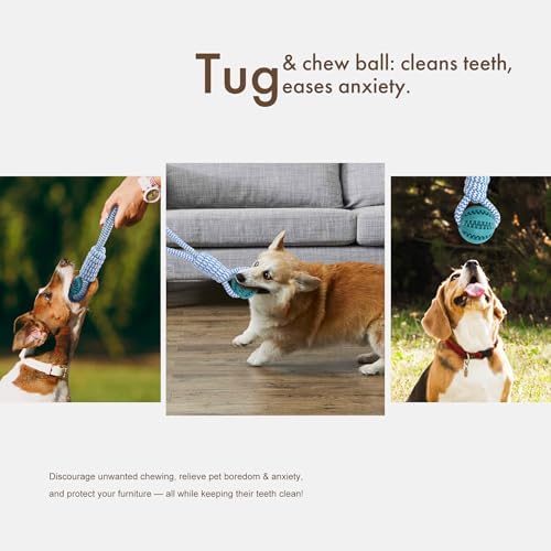 Mira's Pocket Indestructible Chew Toy for Aggressive Chewers - Durable Rubber Dog Teething Ball with Rope, Boredom Relief Puppy Toys (Blue, Small) (Green, Large)