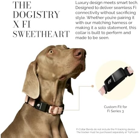 DOGISTRY - Fi Sweetheart Collar - GPS Dog Collar Band - Medium