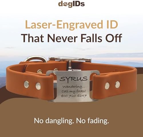 dogIDs Personalized Dog Collar – ScruffTag Custom Waterproof Biothane Dog Collar with Laser-Engraved Name, Durable & Odor-Resistant – USA Made | Terracotta, 3/4 in x 16 in (Fits Neck Sizes 14-18 in)