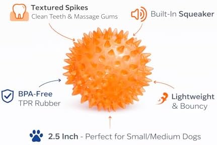 Squeaky Spiky Dog Balls for Teeth Cleaning & Gum Massage 2.5 Inch Small Medium Dogs Orange | Spiny TPR Rubber Chew Toys for Fetch Play Interactive Bouncy Dental Balls BPA Free Nontoxic Floats - 3 Pack
