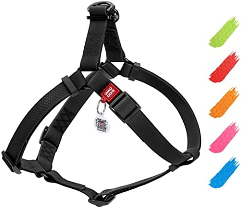 WAUDOG Waterproof Dog Harness with QR Code Tag & Metal Clasp