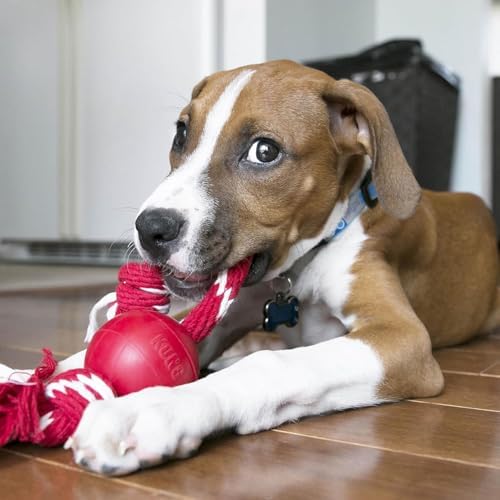 Kong Ball with Rope, Natural Rubber Fetch and Tug Toy, Red, for Small Dogs