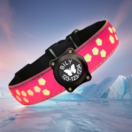 Personalized Light up Black Dog Collar with airtag Holder for Night Walk (Pink Collar 15 Modes Lighting, L(15.7-19.7"))