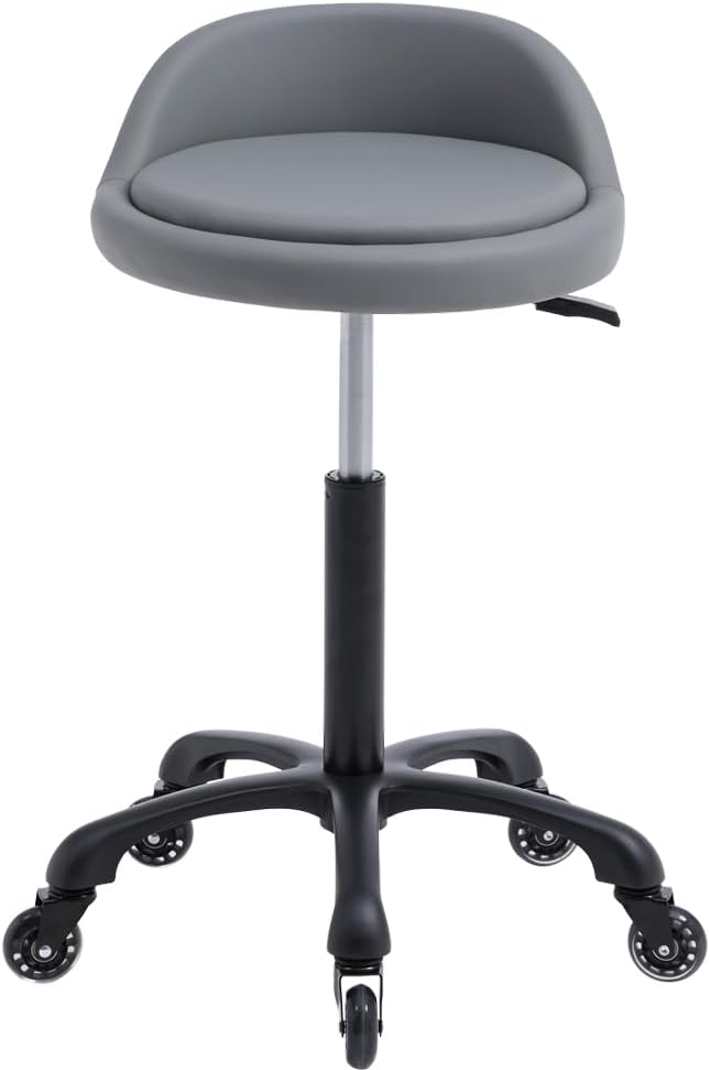 Rolling Salon Stool Chair with Back Support Hydaulic Height Adjustable on Swivel Wheels Heavy Duty for Hair Cutting Esthetician Tatto Beauty Spa Bar Lab Clinic Kitchen Office Home (Dark Gray)