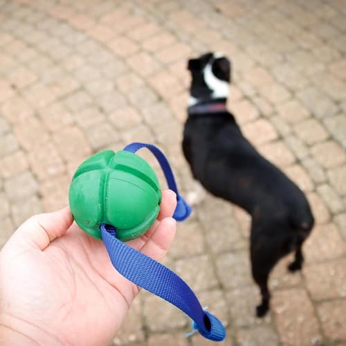 PetKORE: FloTex Tug - Medium - 2.5" Green, Rubber Dog Toy, Removable Strap Tail, Patented Airflow Grooves, Bounce-Fetch-Chew, Pet Indoor-Outdoor Play