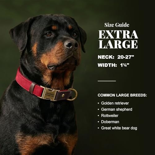 Personalized PU Leather Dog Collars, Quick Release Buckle, Red,XL