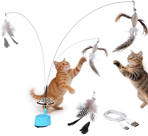 Interactive Cat Toys for Indoor Cats, Auto Cat Toy