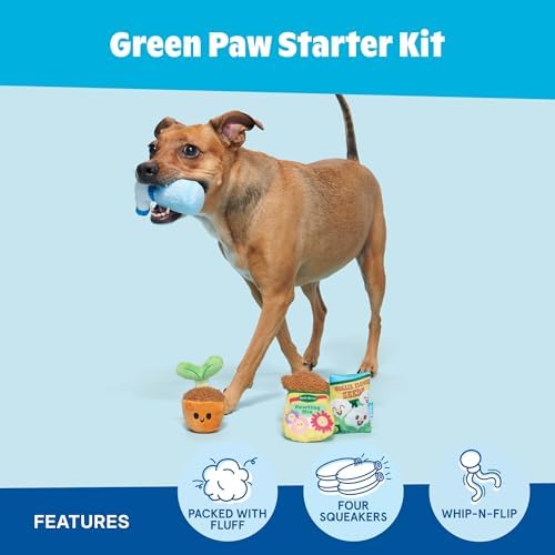 BarkBox Green Paw Starter Kit Dog Toy - Toy for Extra Small to Small Dogs