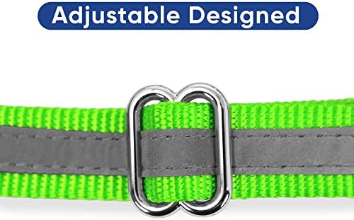 Pawtitas Martingale Dog Collar with Chain a Reflective Dog Training Collar for Medium Dogs | Nylon No Pull Dog Collar for Medium Dog - Green