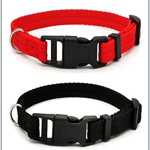 Nylon Webbing Dog Collar Fashion Buckle Pet CollarAccessory