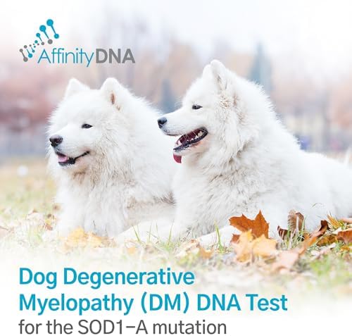 Dog Degenerative Myelopathy (DM) DNA Test | Home Sample Collection Kit for 1 Canine | Puppy DM Testing | Results in 10-15 Working Days | A Complete Kit with No Extra Fees