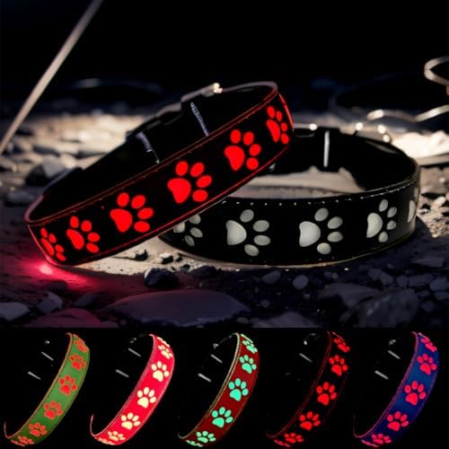 Personalized Light Up Dog Collar with Laser Engraved ID Tag