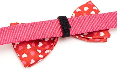 THE WORTHY DOG Spring Patterns Pet Bow Ties for Dogs & Cats, Cupid Hearts