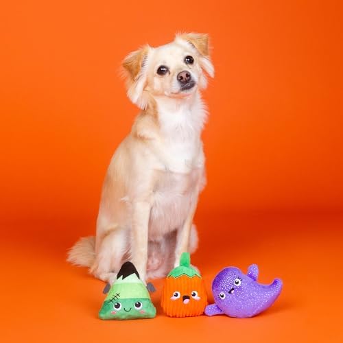 Fringe Studio Small Plush Dog Toy Set, Spooky Squad, 3 Piece Set, PetShop Collection (662130)