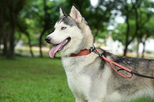 OllyDog Flagstaff Collar, Adjustable Soft Puppy Collars with Quick Release Buckle, Ideal Dog Collar for Everyday Use and Adventures (Large, Clay Woodgrain)