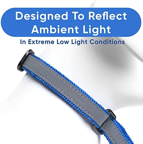 Pawtitas Blue Reflective Martingale Dog Collar, Large