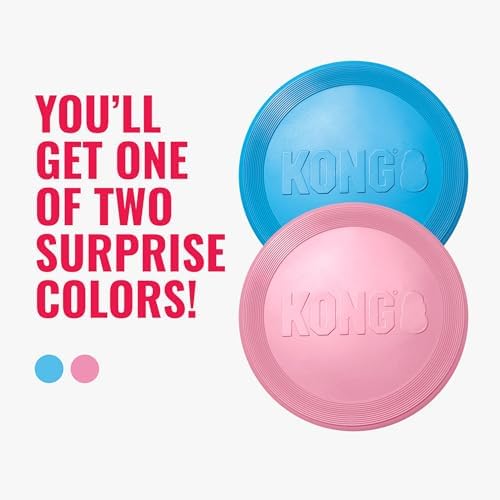 KONG Puppy Flyer, Soft Rubber Flying Disc, for Small Puppies, Random Color