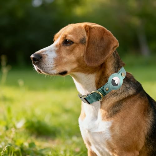 Airtag Dog Collar, PU Leather Collar w Airtag Holder for Large Dogs(Green)