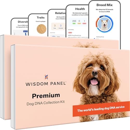 Wisdom Panel Premium Dog DNA Testing Kit - Most Comprehensive Test - 265+ Health Tests, 430+ Dog Breeds, 50+ Traits, Relatives, Ancestry, 2 Pack