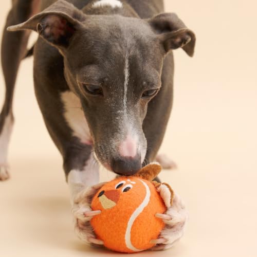 ZEZE Zorro the Fox Squeaky Dog Toy, Cute Plush Tennis Ball Dog Toy with Hidden Squeaker in Fox Ears, Soft Fetch & Chew Toy for Small to Medium Dogs & Puppies, Gift-Ready Designer Pet Toy