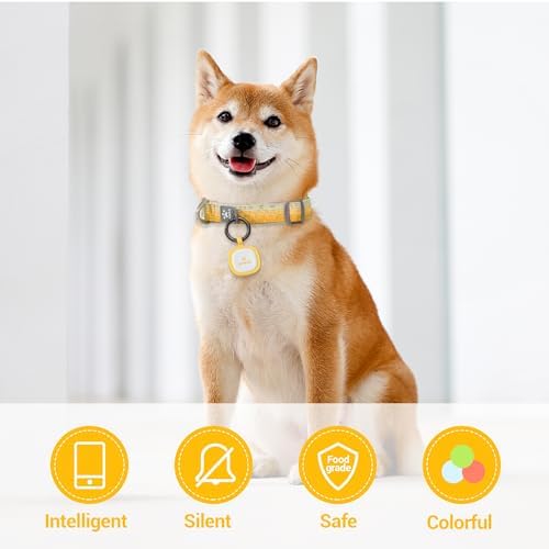 Pawaii Glow in The Dark Dog ID Tag, Silent Silicone, QR Scan Alerts, 1 Pack