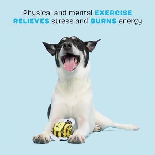 BarkBox Buzzy Body Dog Toy - Toy for Medium to Large Dogs