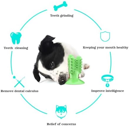 lilaBelle]【Cactus Dog Toy New Dental Stick for Dogs - Teeth Cleaning & Stress Relief Chew with Sound, Treat Dispenser, TPR Safe Material, Sizes Dogs, Home/Park/Garden (Saudi Pets)