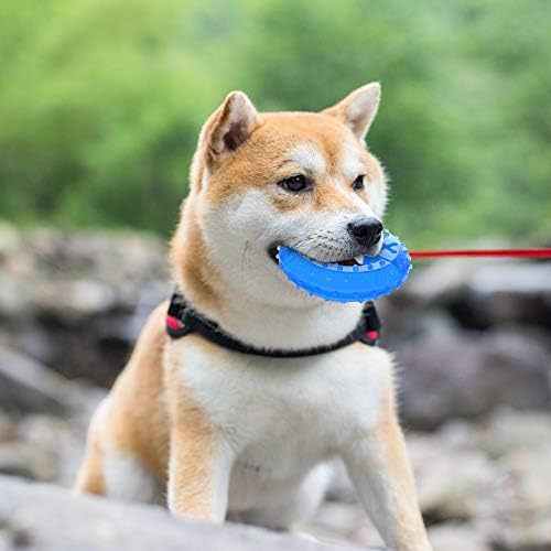 NWK Cooling Chew Toy for Dogs, Puppy Teething Toy (Ring)