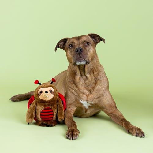 Fringe Studio Little Ladybug Plush Dog Toy, Pet Shop Collection (314201)