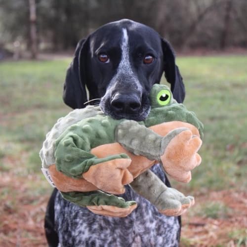 Tall Tails Plush Animated Moving Toy for Dogs, Frog