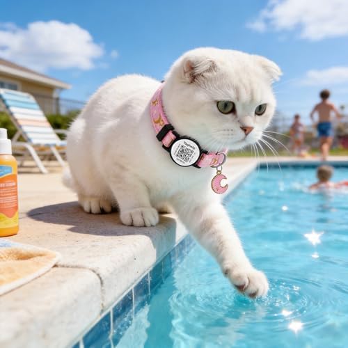 Smart Lost & Found System: Breakaway Cat Collar with Free Lifetime QR Code ID, Adjustable Reflective Kitten Collar (Stars & Moon) - No Monthly Fees, Pink Pet Safety (Pink)