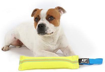 Dog Bite Tug Toy 10 inches - Durable, Interactive Toys for Medium to Large Dogs - Perfect for Tug of War, Fetch & Puppy Training - Safe Fire Hose Dog Tug with Strong Handle - Tough Floating Pull Toy