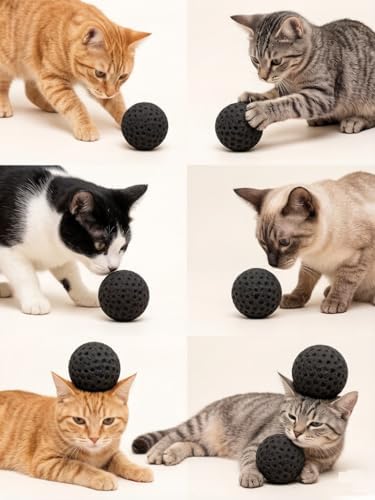 Cat Golf Balls Interactive Sponge Foam Soccer Balls Toy (Black)
