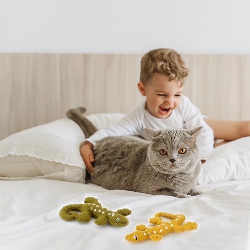 Glaciart One Felt Lizard Cat Toy – 2 Pcs | Soft Fuzzy Enrichment 100% Natural Wool - Interactive Catnip Play Cat Toy Set - Safe for Pets, Non-AZO Colored Dyes