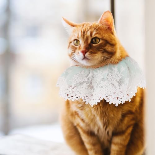 Cat Lace Neckwear with Pearls, Adjustable Flexible Straps Blue