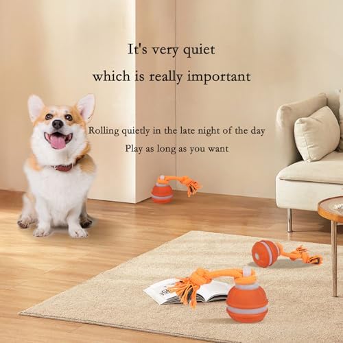 2Pack Interactive Dog Toys for Small Dogs – Peppy Pet Ball & Chase Buddy Dog Toy Active Rolling Puppy Toys to Keep Them Busy, Daily Training Interactive Puppy Toys